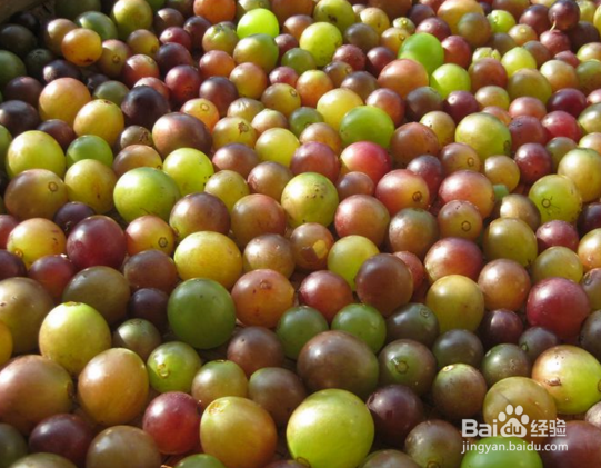 水果饮品怎么做好喝