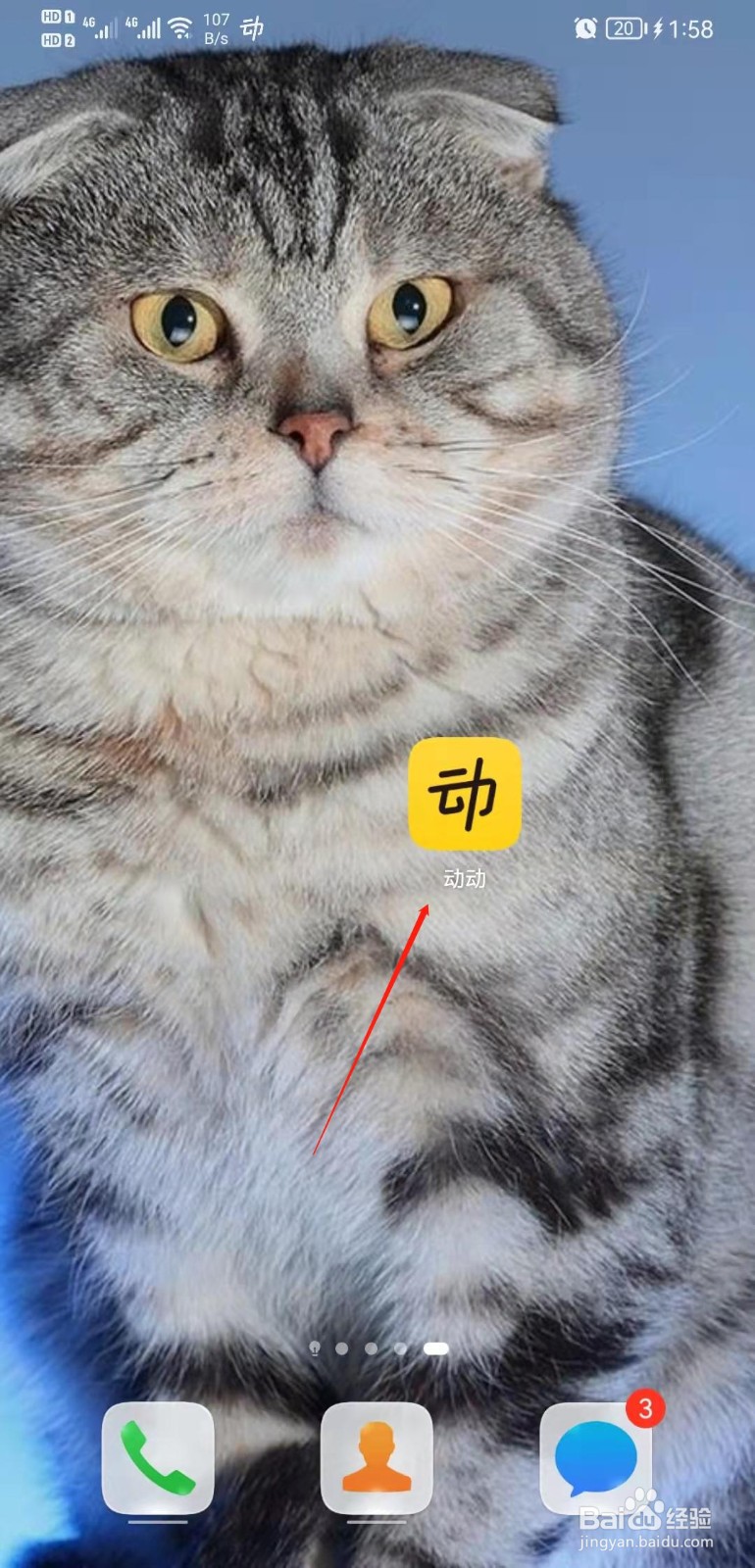 动动APP怎么进行系统权限管理