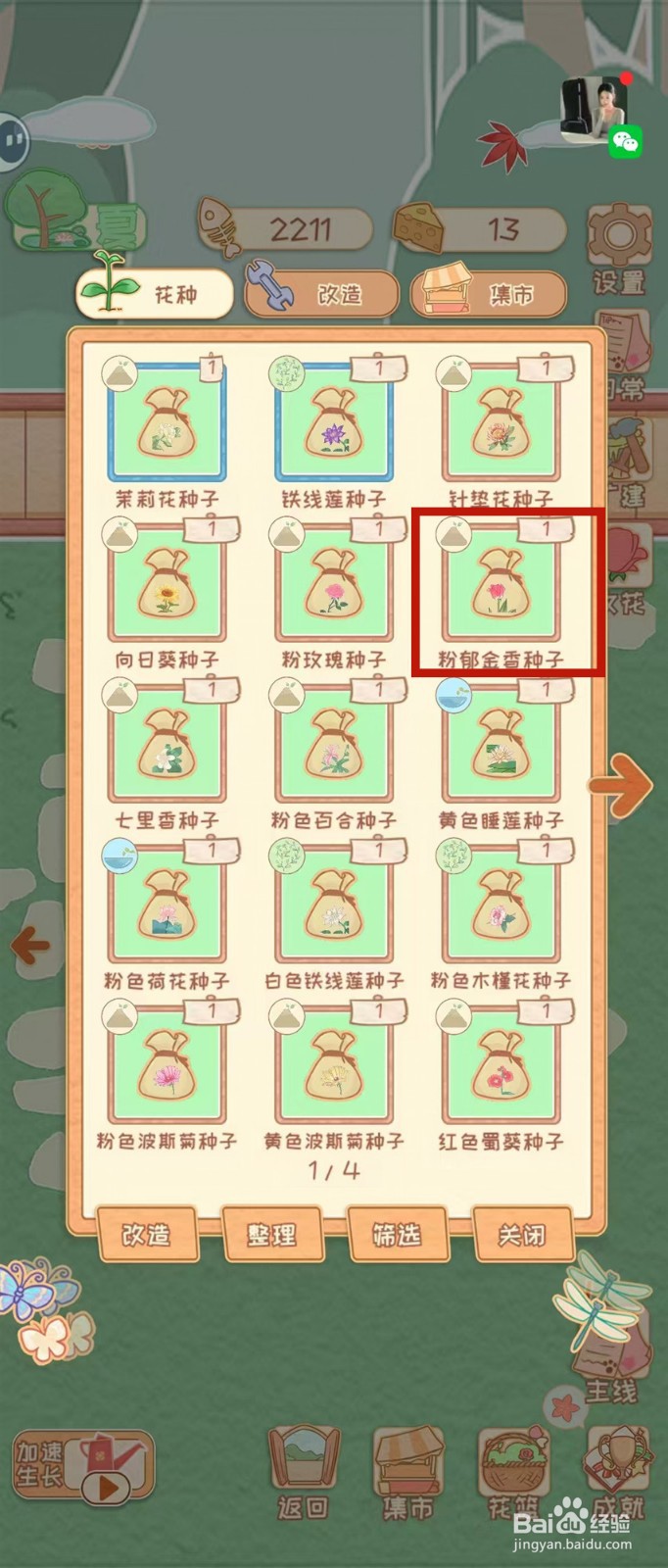 花店物语怎样播种粉郁金香种子