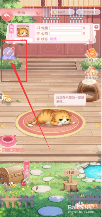 花之舞手游猫咪还书怎么完成？