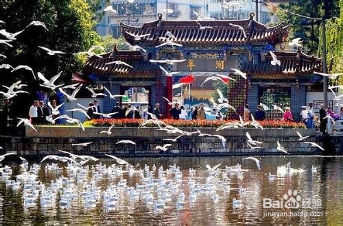 十一出游攻略：[1]昆明旅游攻略