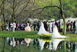 介绍6种浪漫温馨的结婚地点