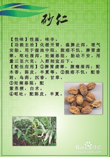 中医药材灵芝鹿茸等