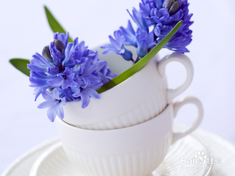 怎么追求暗恋的女孩子