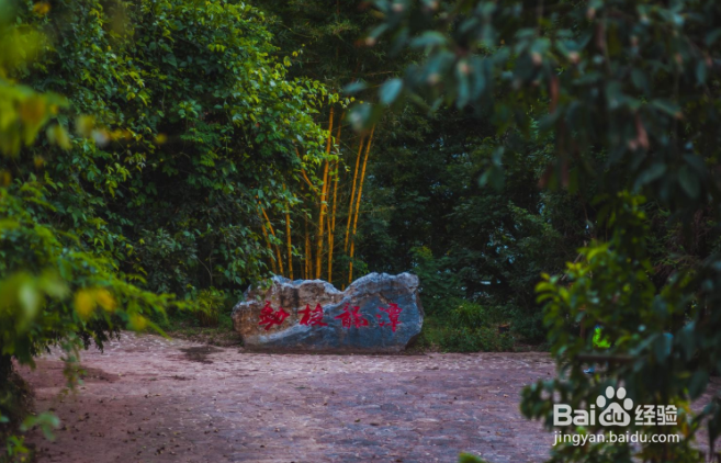 普洱游玩必去的几个地方？