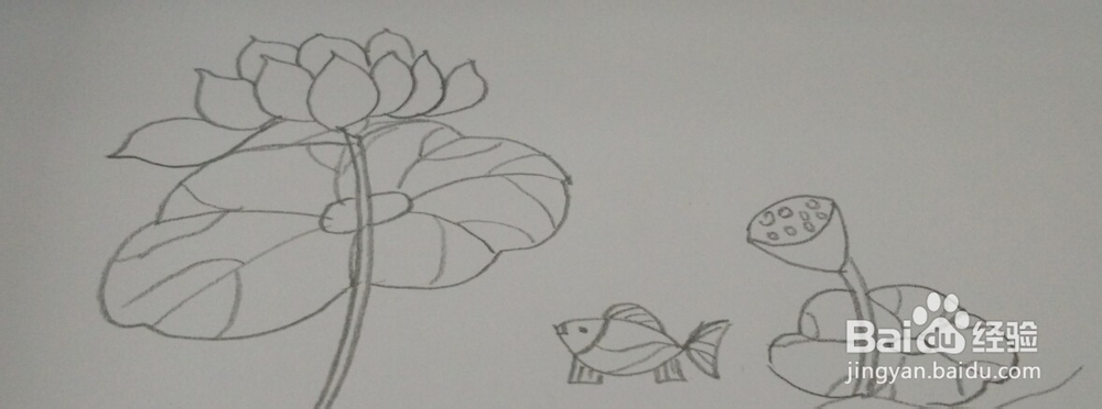 油画棒画【荷花】简单教程