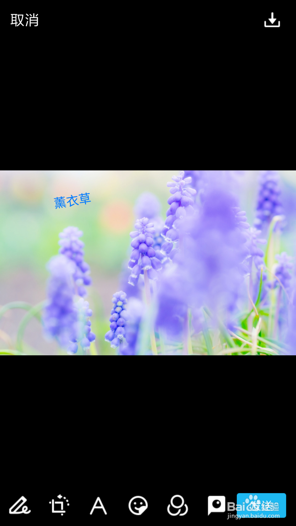 怎么p小清新的图片