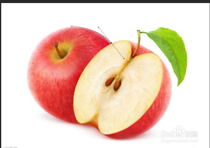 PS钢笔工具怎么用