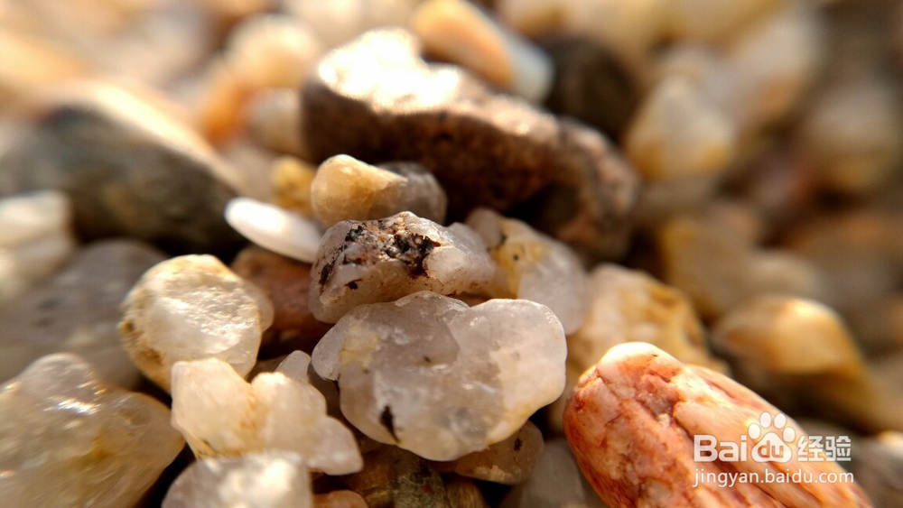 微距镜头下的照片是什么样的