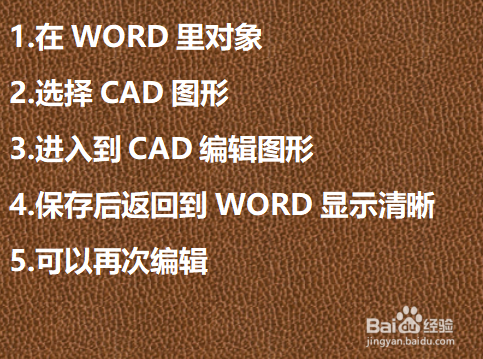 怎样在word中插入清晰的CAD图