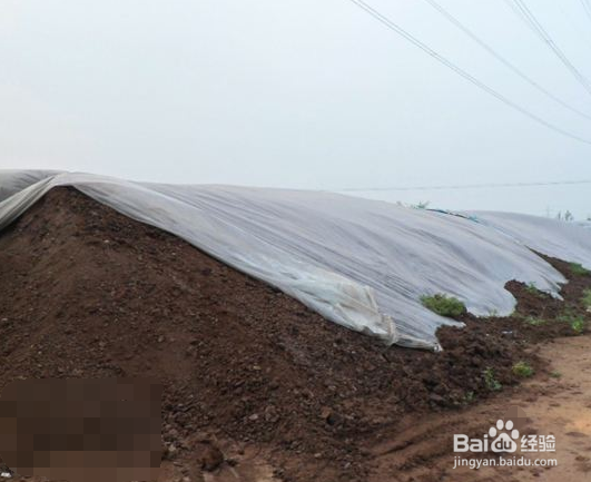 如何利用天利固液分离机TL-200对畜禽粪便处理