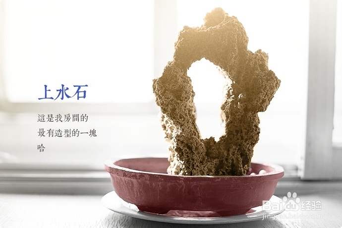 秋冬室内去燥,最简单五招