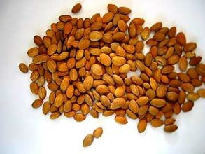 5种防病保健的药粥