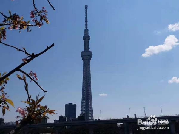 去日本发现他们真的自觉自律