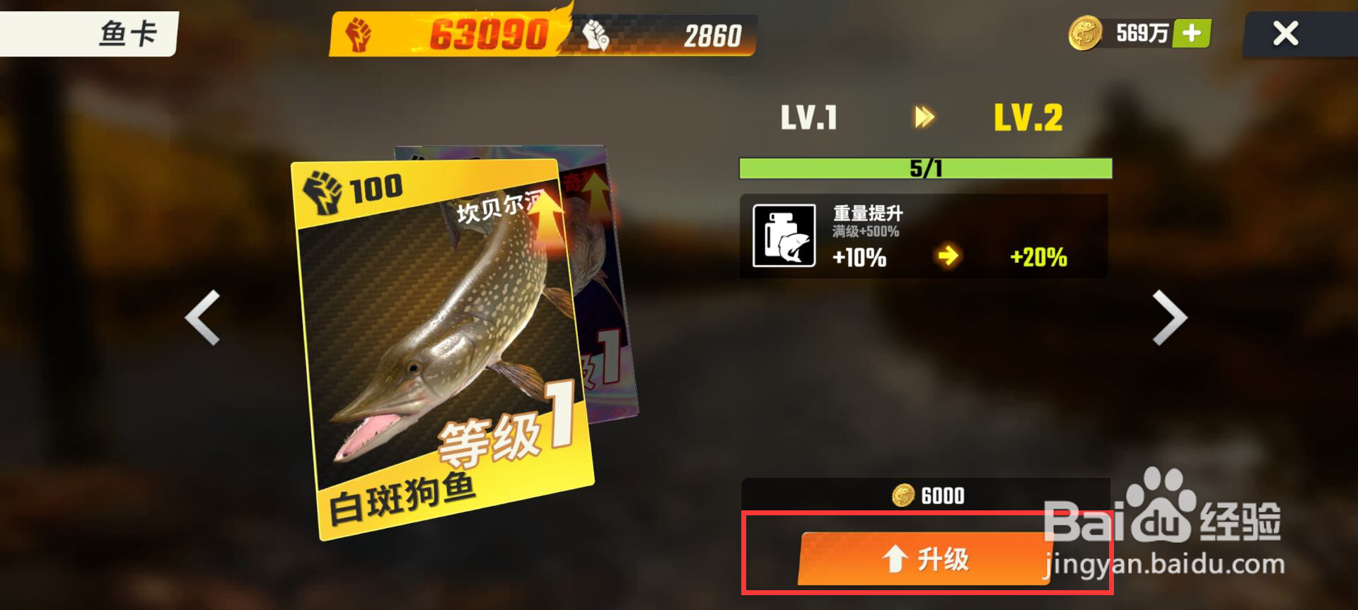 欢乐钓鱼大师怎么升级白斑狗鱼鱼卡