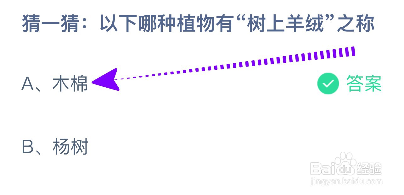猜一猜:以下哪种植物有“树上羊绒”之称？
