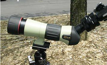 单反拍照需要注意的事项有哪些？