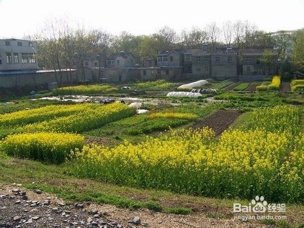PS技巧之拼合风景照片