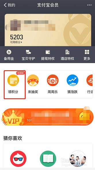 怎样签到领取支付宝会员积分