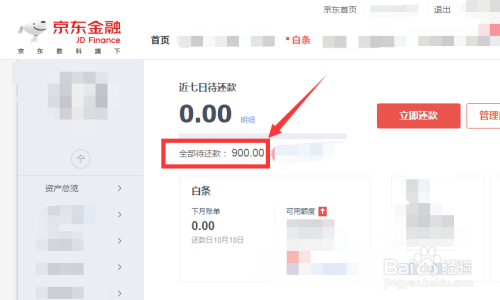 怎麼查看自己的京東白條欠了多少錢還沒還