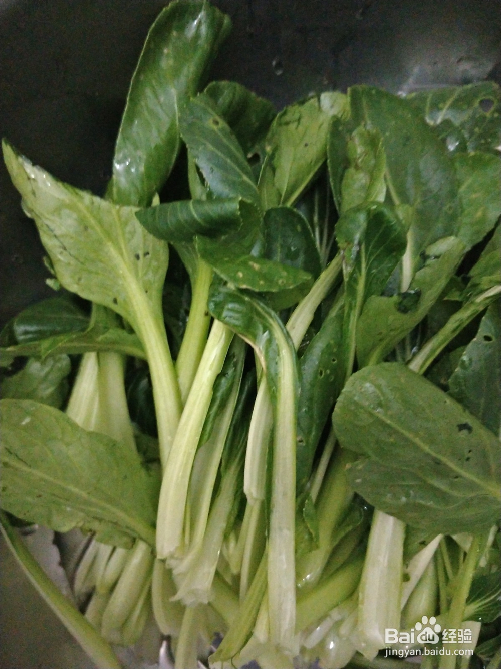 多吃绿色菜素菜的好吃