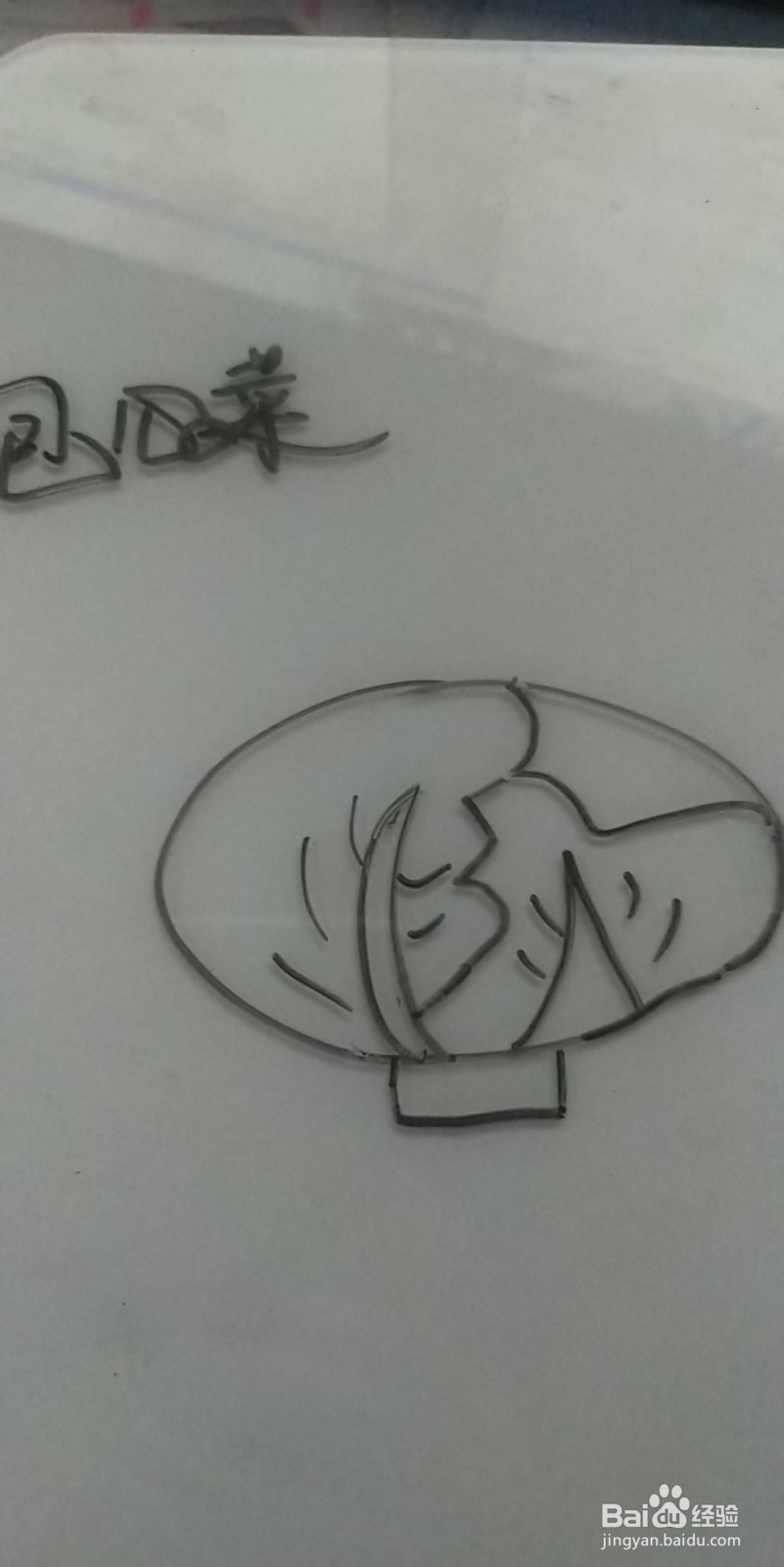 简笔画——怎么画简笔画包心菜