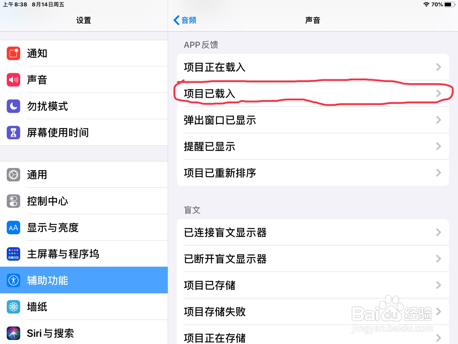 iPad怎么在旁白设置项目已载入的预览