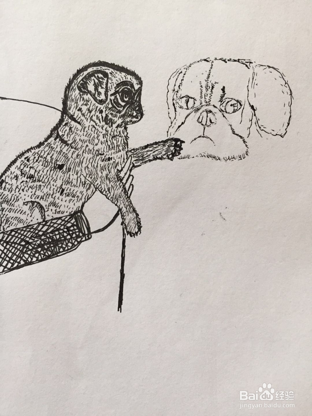 dxdll手绘之小狗