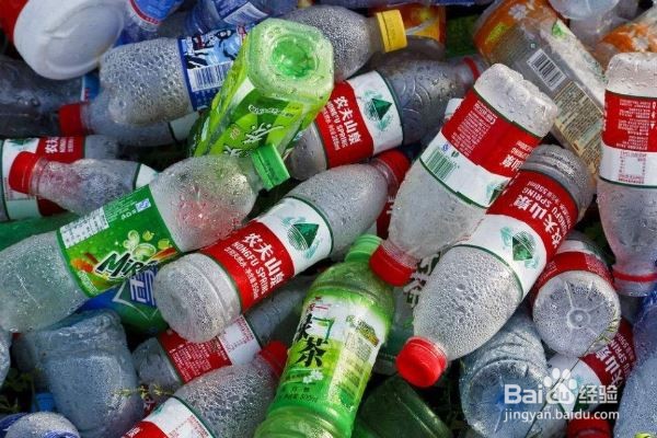 生活在北京的家庭应该怎样投放垃圾