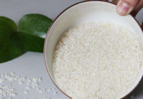 大米浆里加的米种是什么