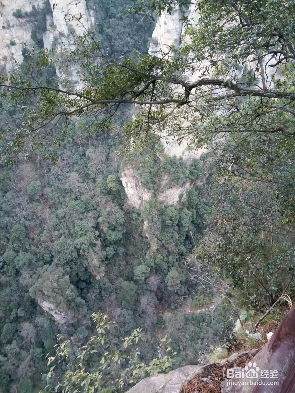 天子山微信好友旅游经历