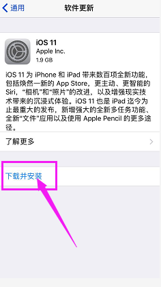 苹果手机打开龙江人社闪退是怎么回事