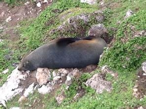 学院街攻略：[57]阿德雷德大学娱乐攻略