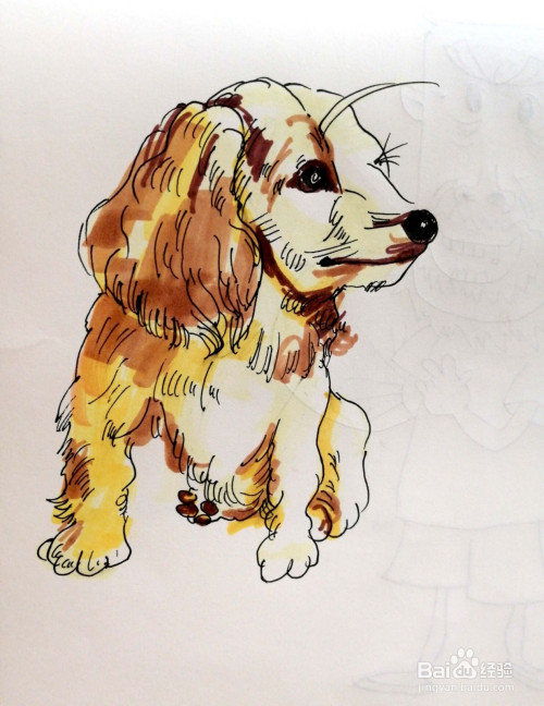 小狗的素描画怎么画