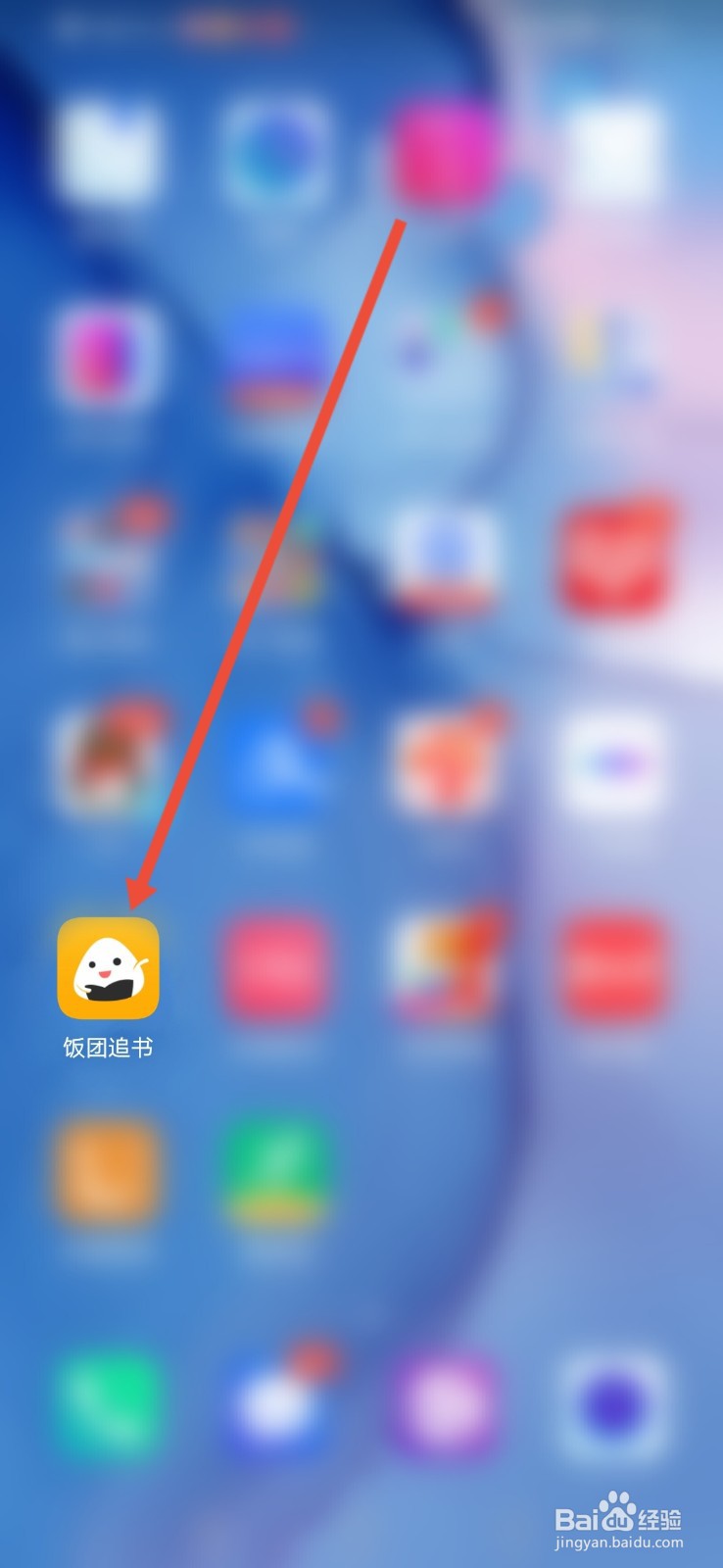饭团追书怎么开启无人像省流量模式