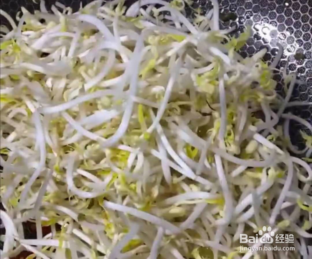 韭菜炒绿豆芽