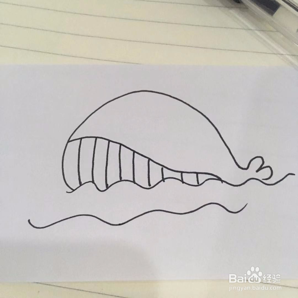 简单画鲸鱼在喷水