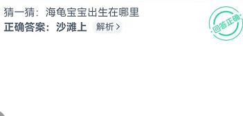 海龟宝宝出生在哪里？神奇海洋11.8答案