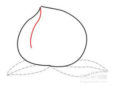 简笔画-如何画水果桃子，水蜜桃