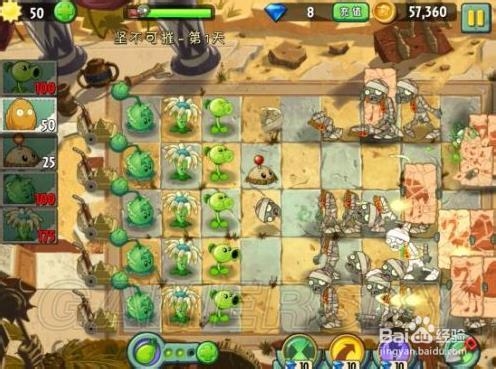 植物大战僵尸2：[7]埃及世界三星图文攻略