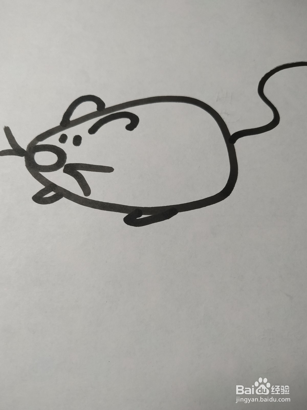 老鼠的简笔画技法37
