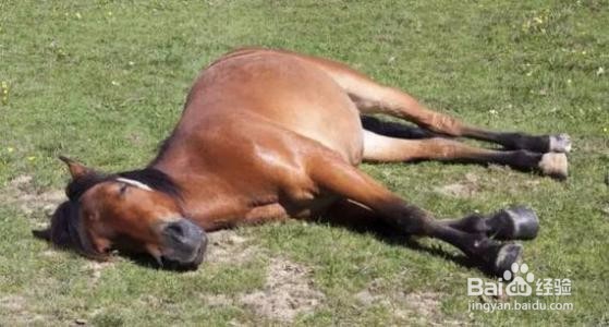饭后几种不好的小习惯
