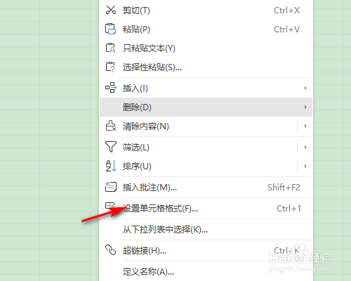 WPS表格怎么选择日期类型