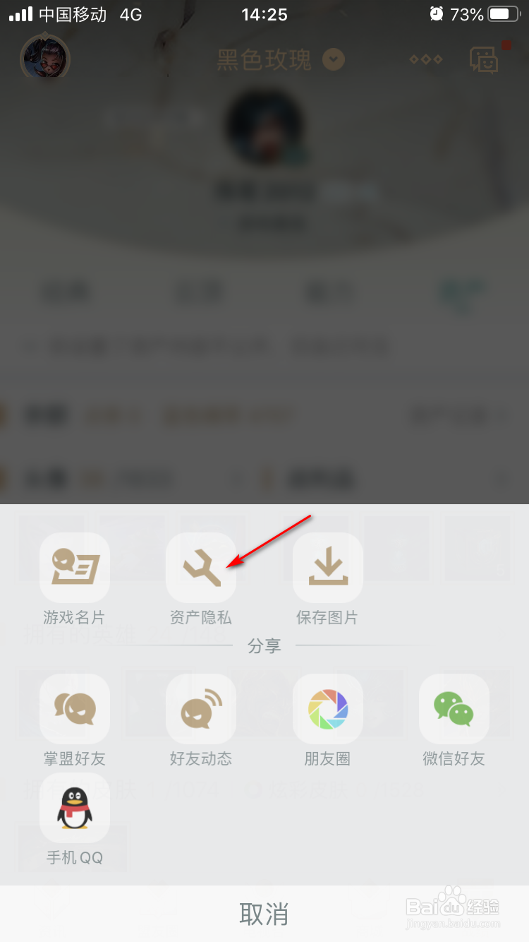 掌上英雄联盟如何设置游戏资产公开