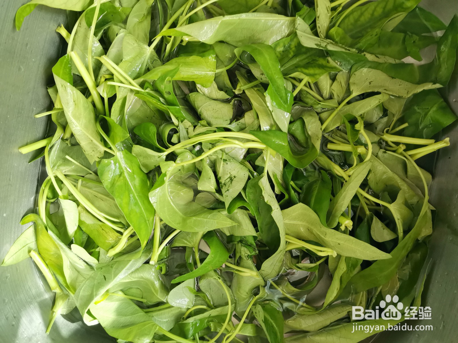 蚝油凉拌空心菜怎么做好吃？