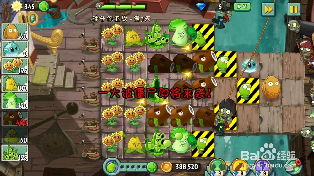 植物大战僵尸2海盗港湾种子保卫战第三天 加农炮