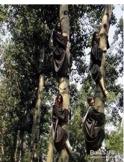 毕业创意照片 毕业留念：[1]Cosplay和搞笑版