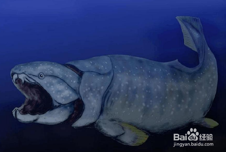 鱼如何在水中沉浮