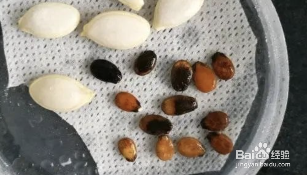 西瓜籽怎么种植西瓜