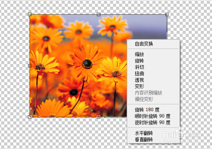 ps按比例调整图片大小